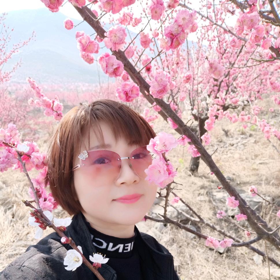 萍萍