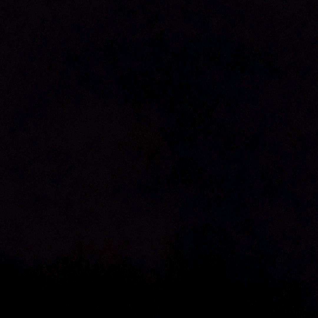 wLsyt