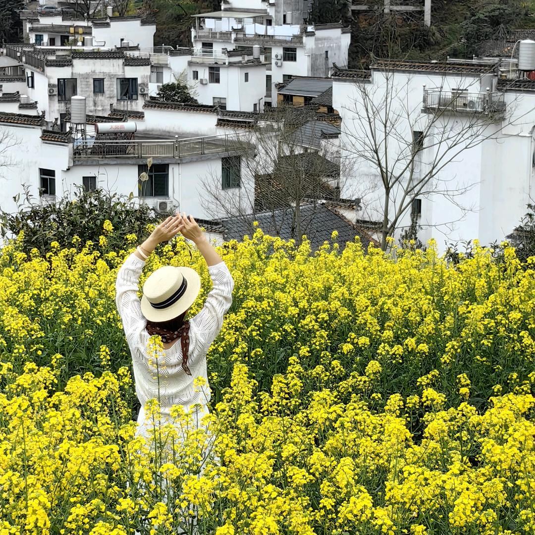 花开无声