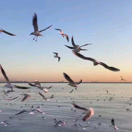 快意江湖