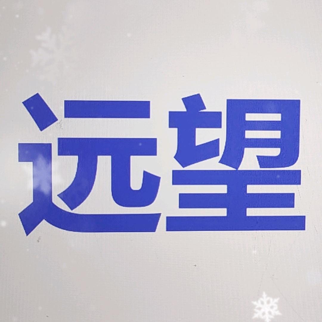 阳江市远望电子产品有限公司的小店