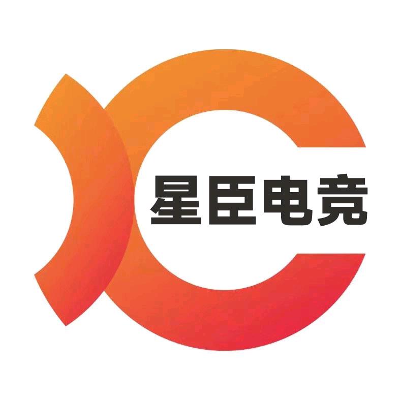 星臣电竞