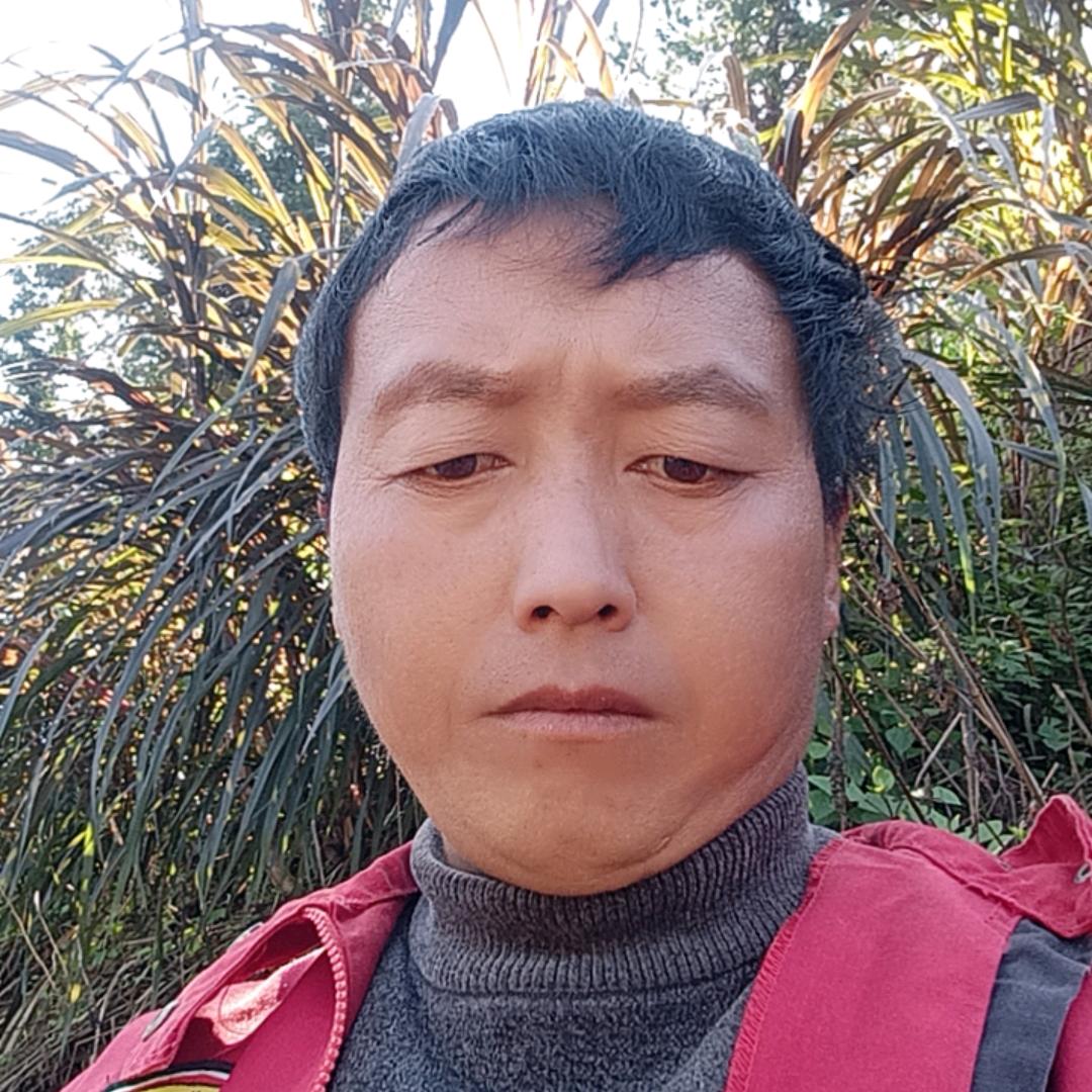 李燕飞