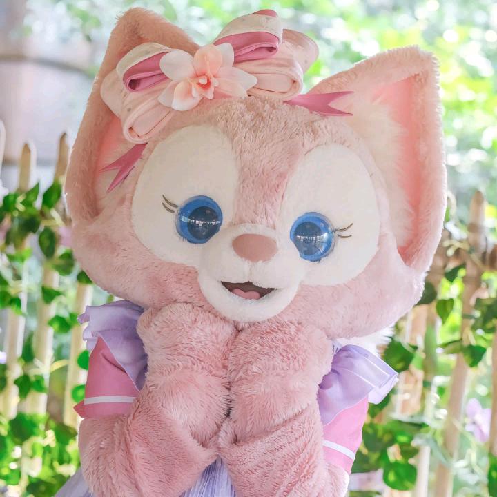 迪士尼梅梅代购