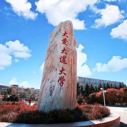 齐大象棋冠军