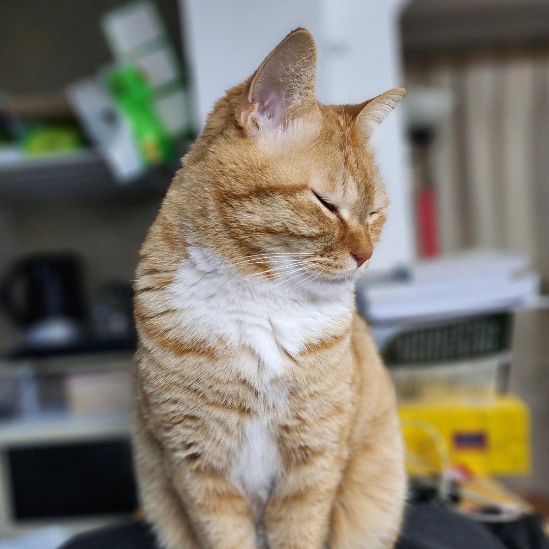 宝宝要努力