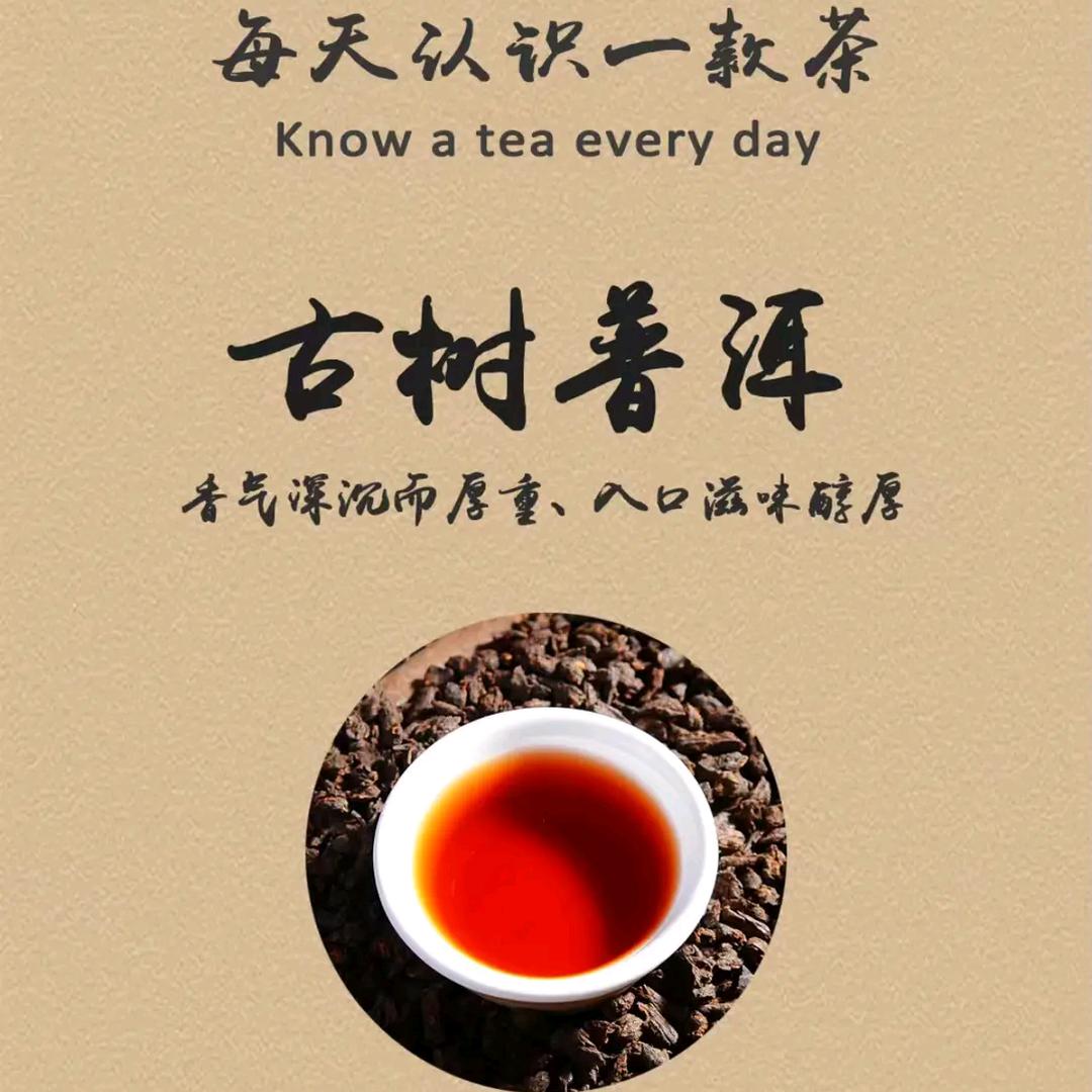 文博堂