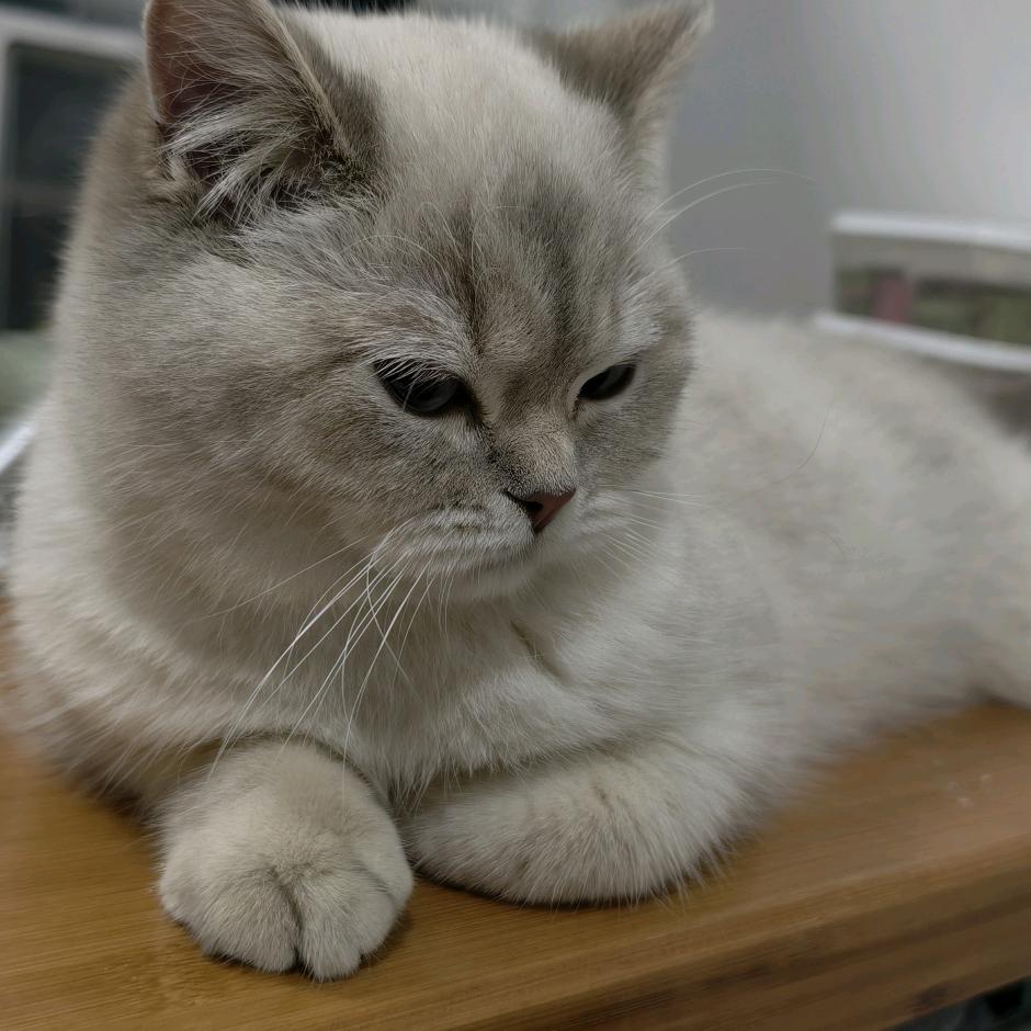 Billyzhu