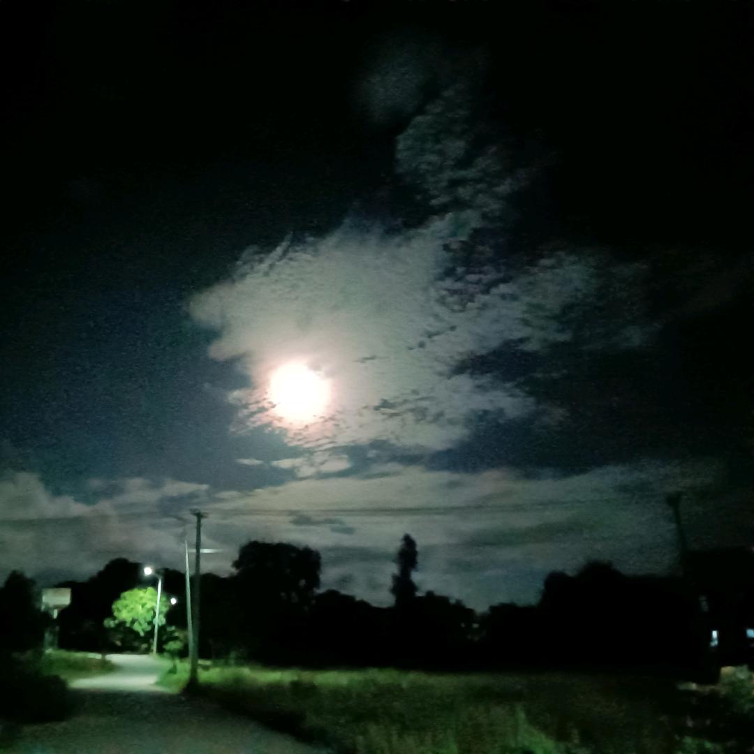 嘉嘉嘉