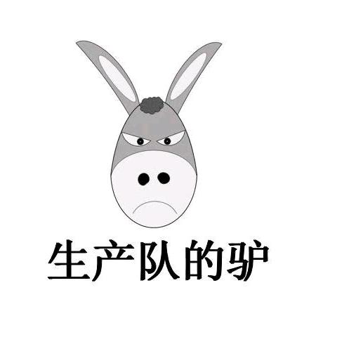 生产队的驴
