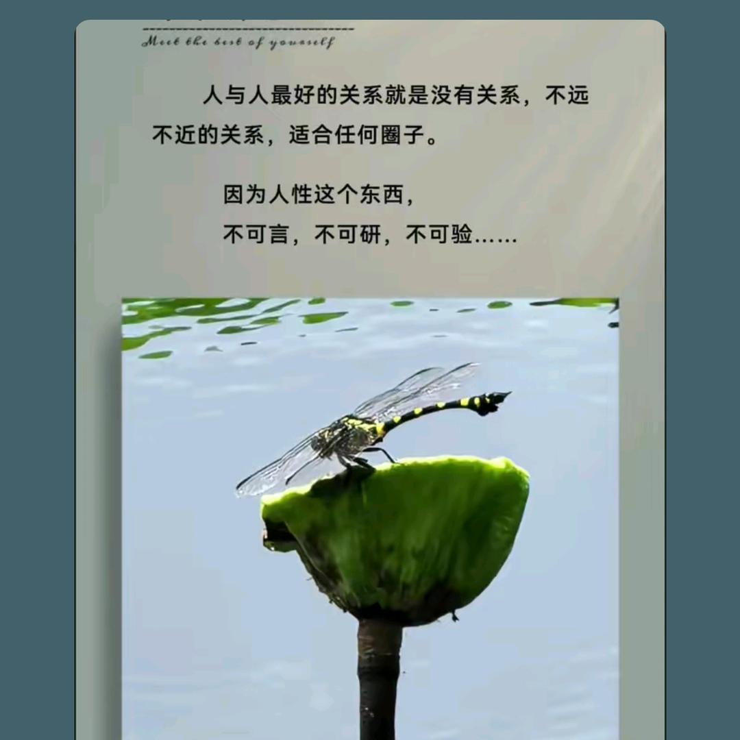 故人初心
