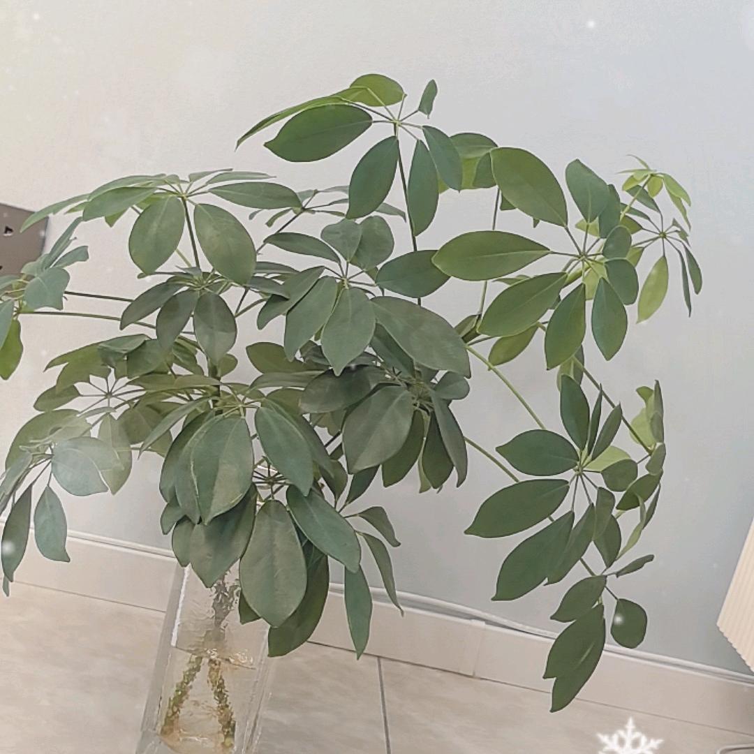 转角遇到你的头像