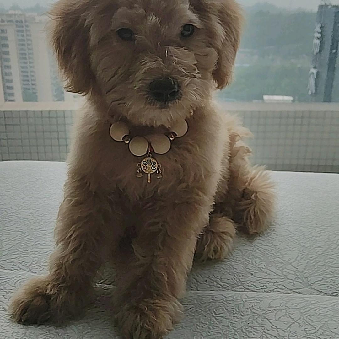 永远健康平安幸福。