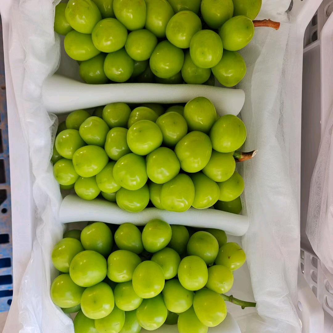 瓜果小王(陕西产区）