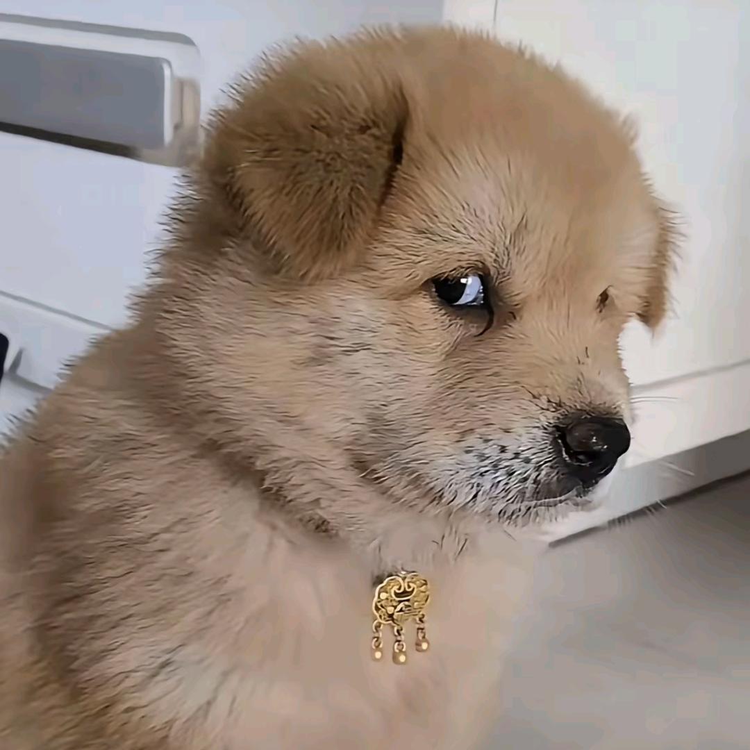 $天总会晴$