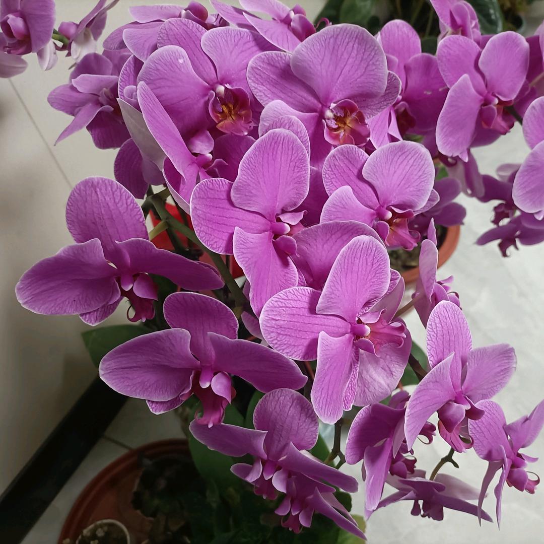 遵化~远大小爱老师