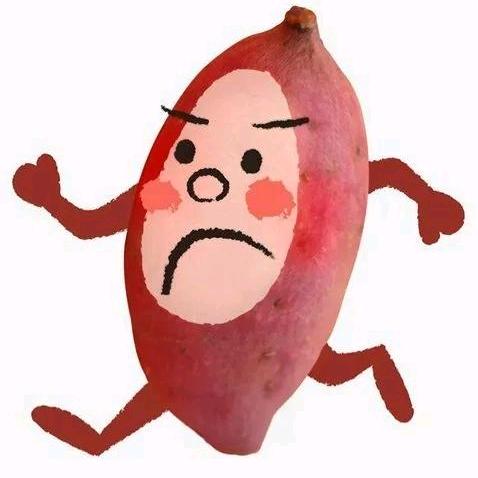 追风地瓜侠