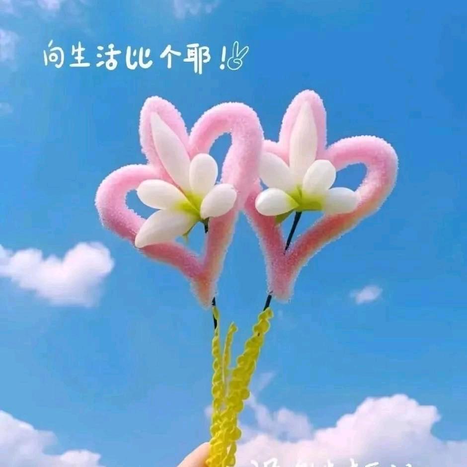 娟子🍎