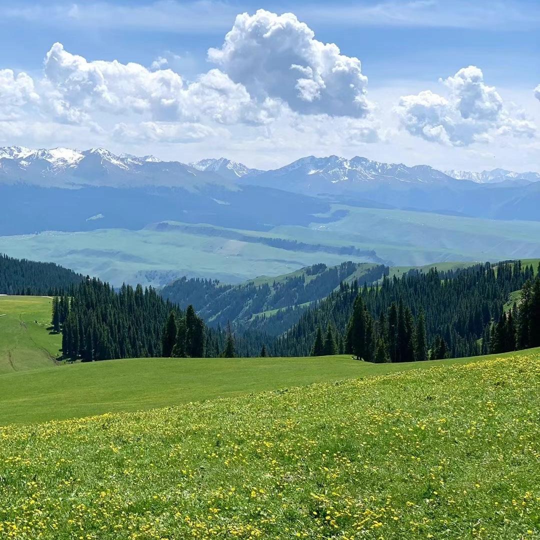 🌈存銭哥哥🇨🇳