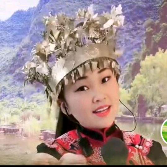 鲜花开在草原上