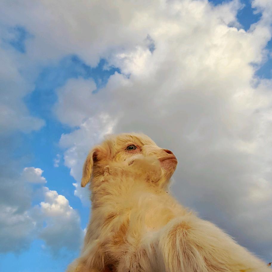 🇨🇳Буяндэлгэр🇨🇳