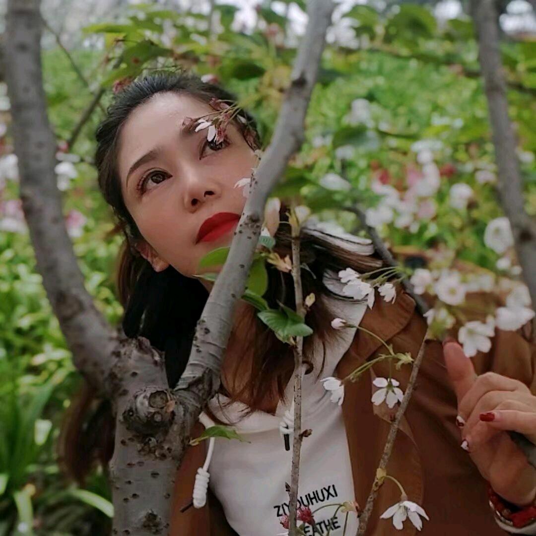 人生若只如初见