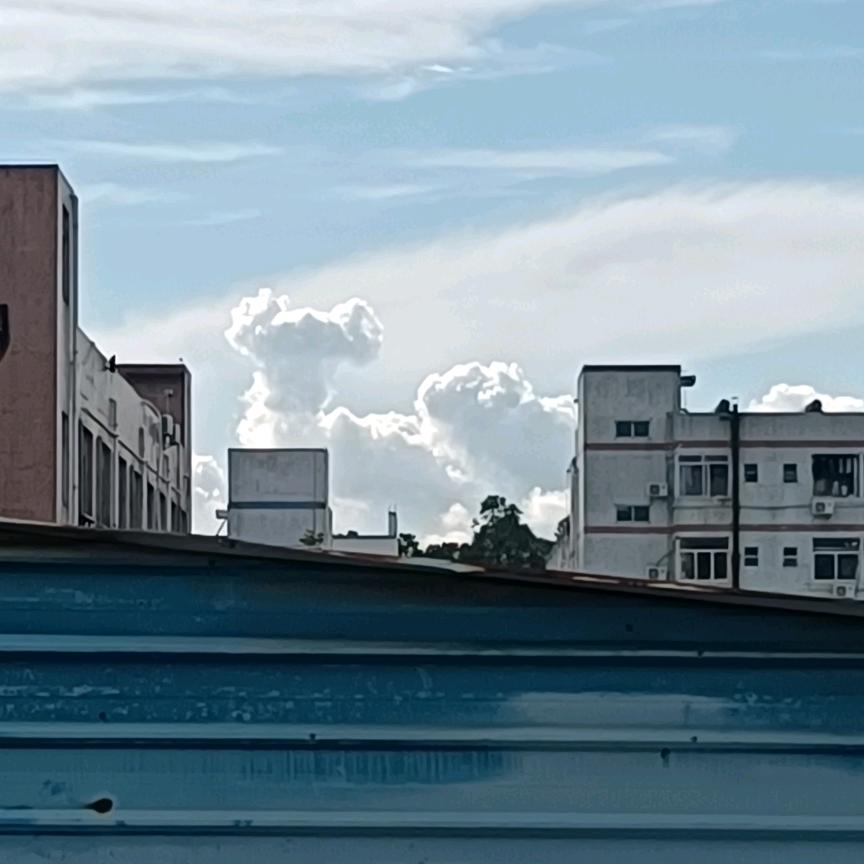 缘故意向