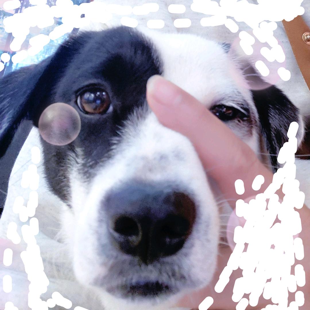 闵sir