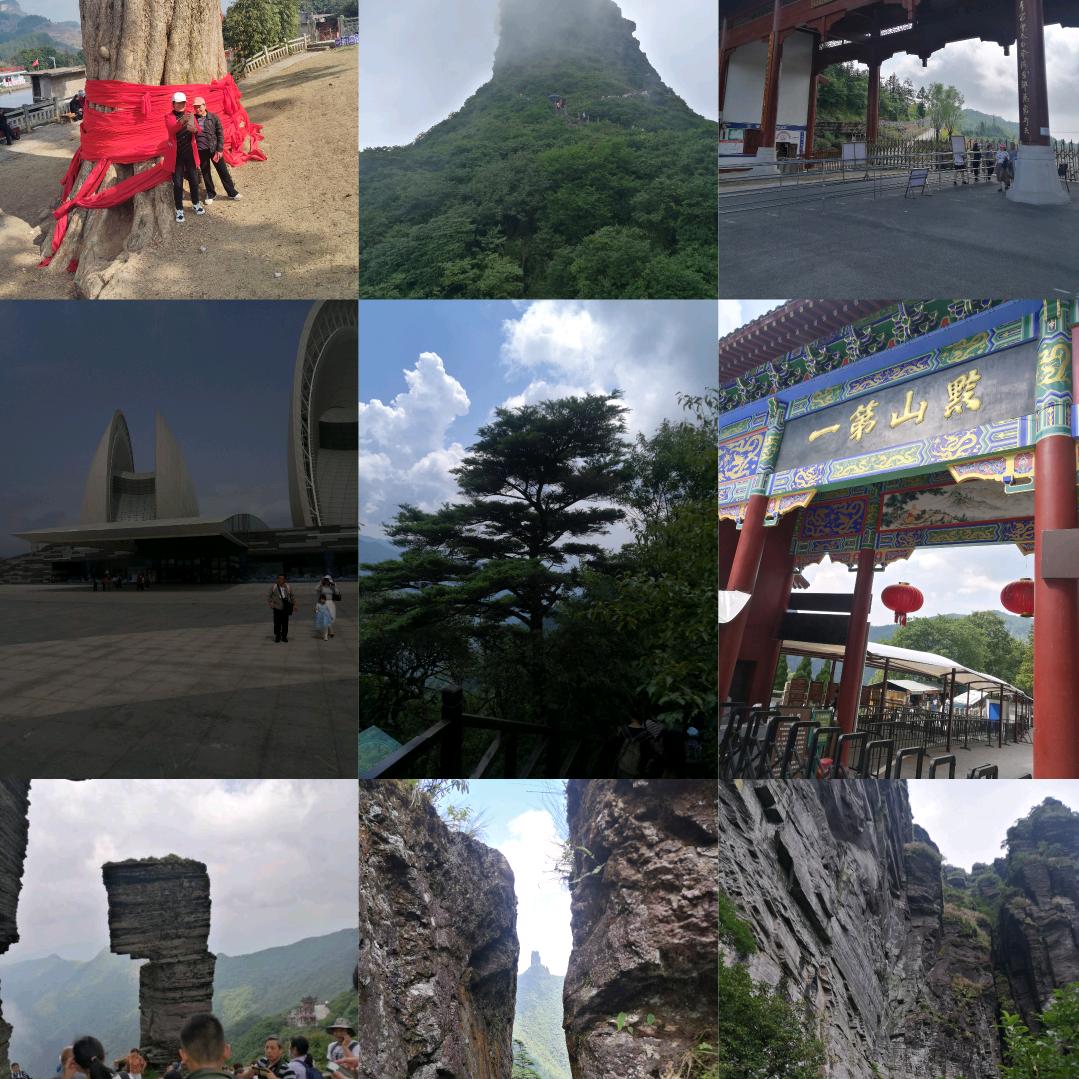 专业成包钢筋标准层