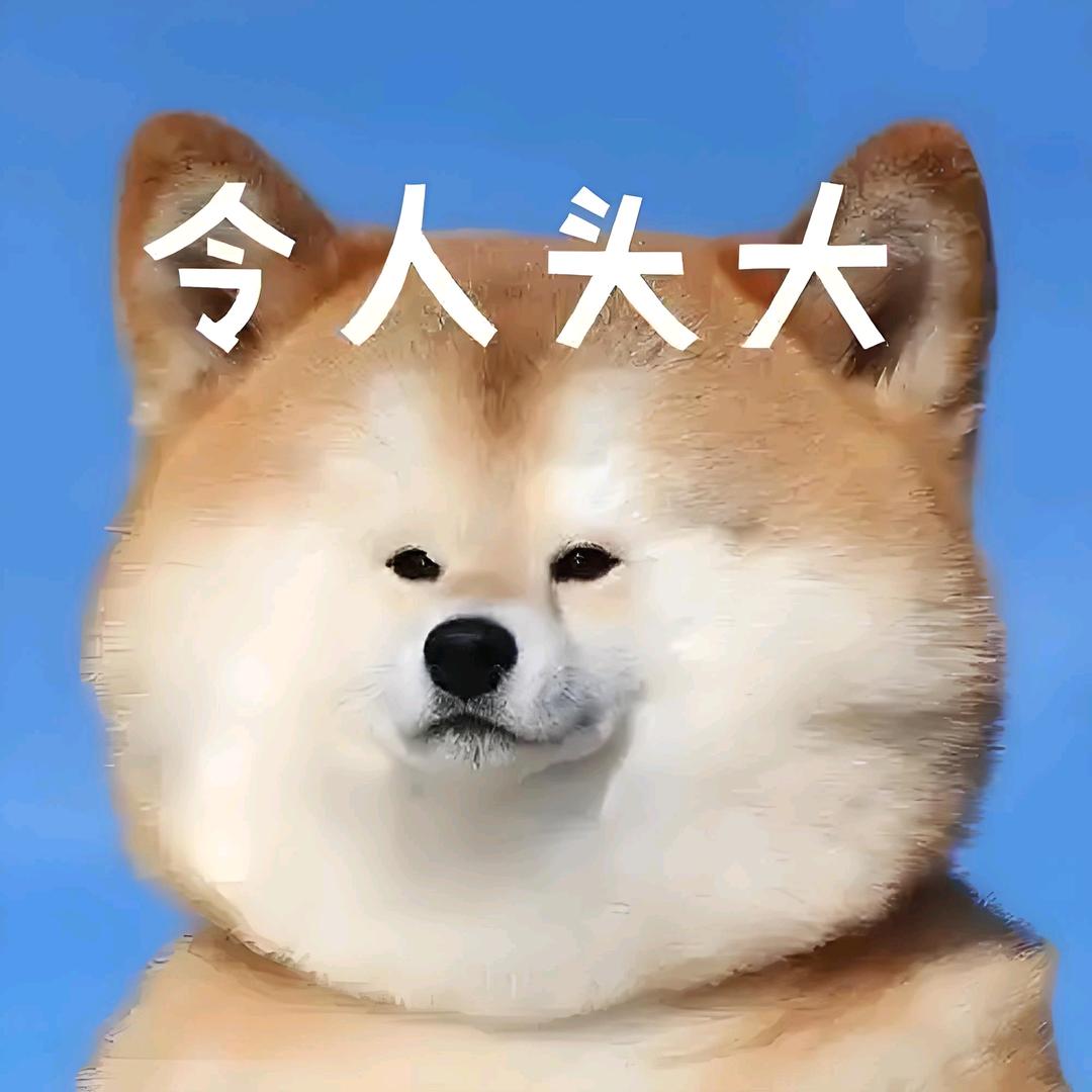 ✨富贵黑巧侠