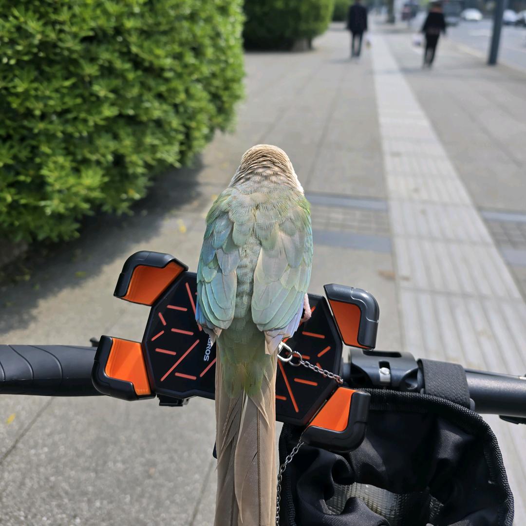 我要去看世界