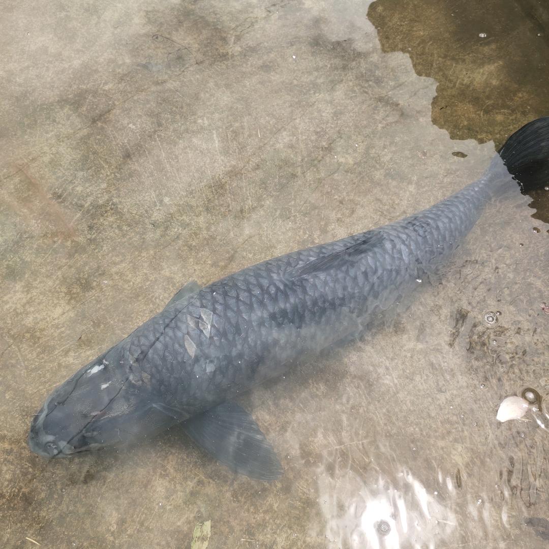 @时来am…～运转