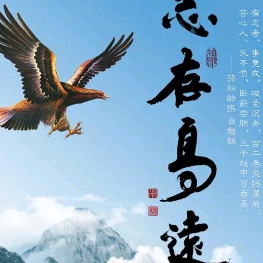志存高远.