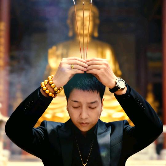 一入无情道成空