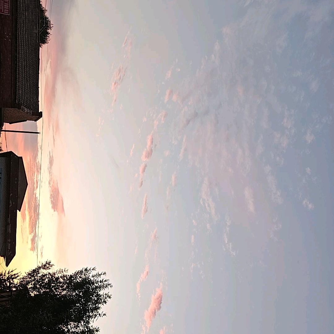 小龙