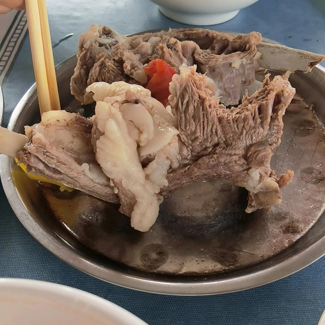 阳阳的春天