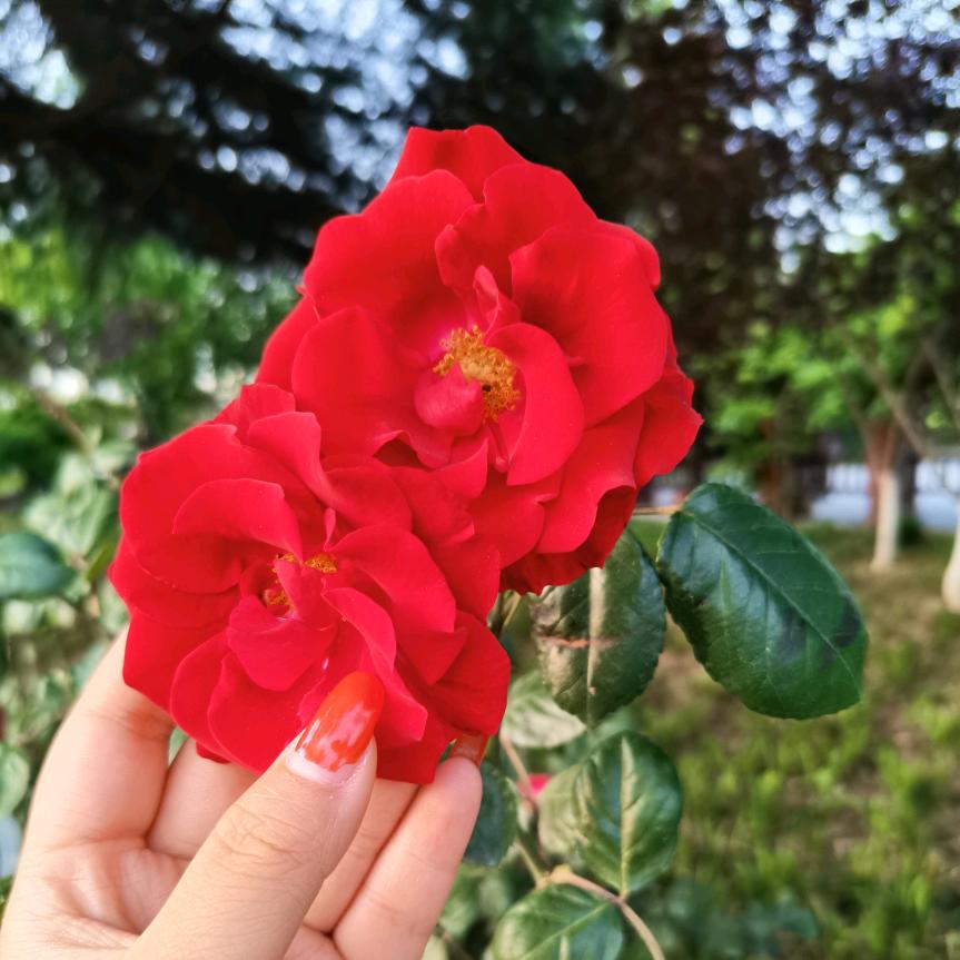 百万。