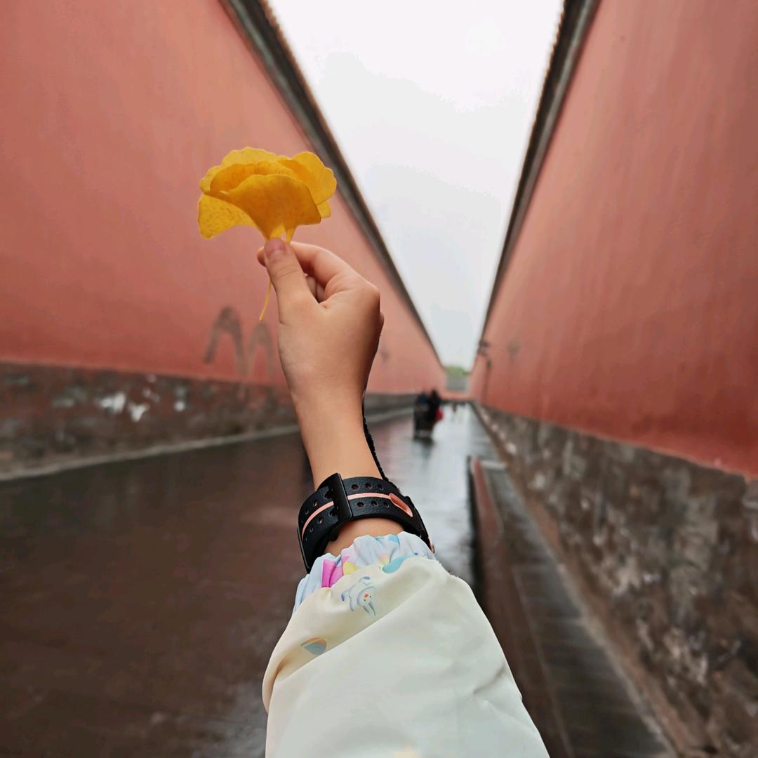 露兮爸爸