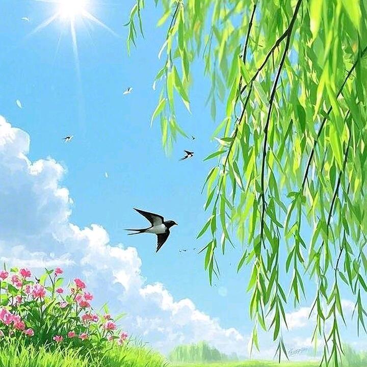 晓雯百货商行