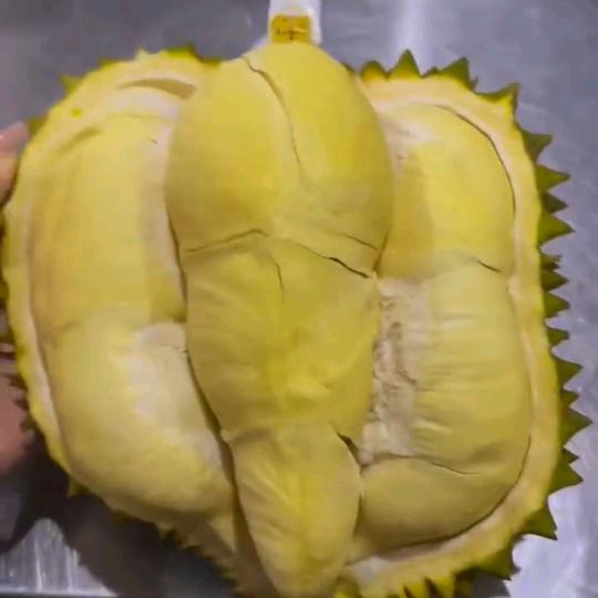 泰越榴莲
