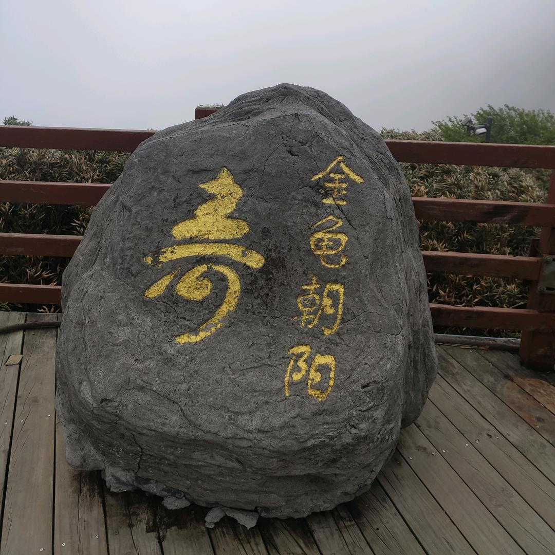 2025背包包
