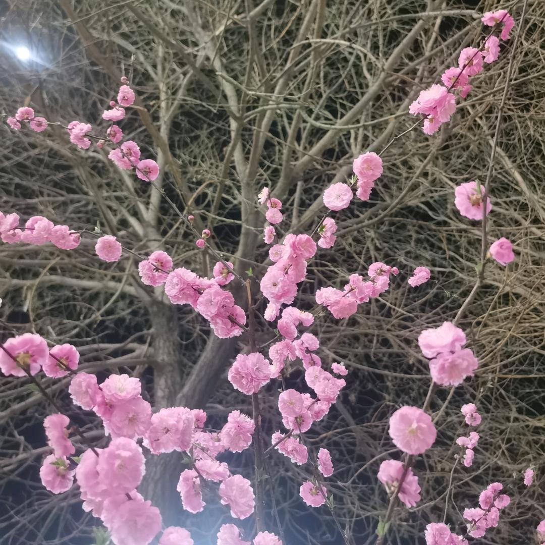 心锁