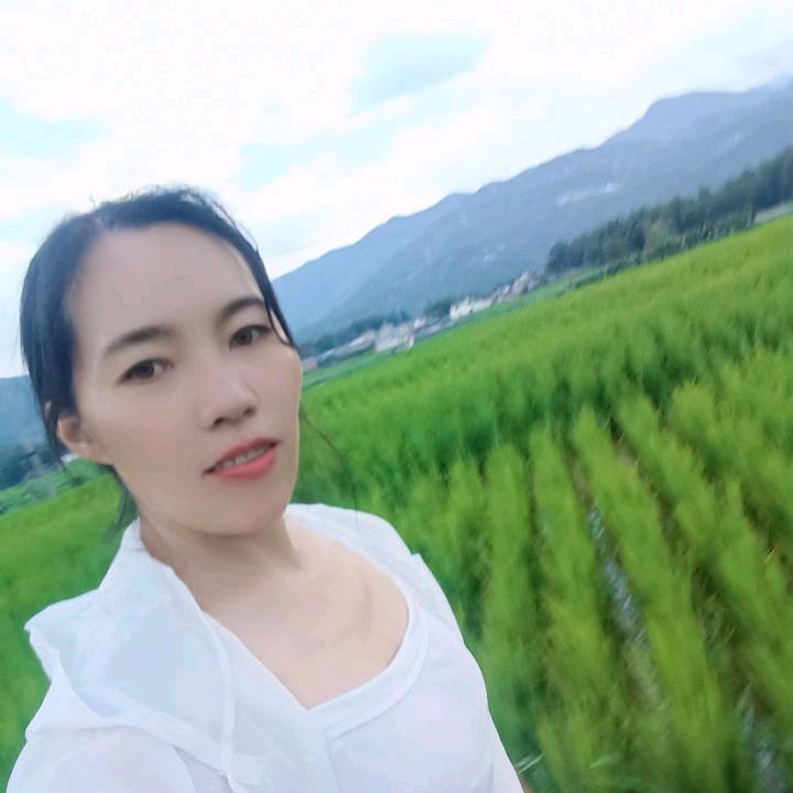 <高姐>