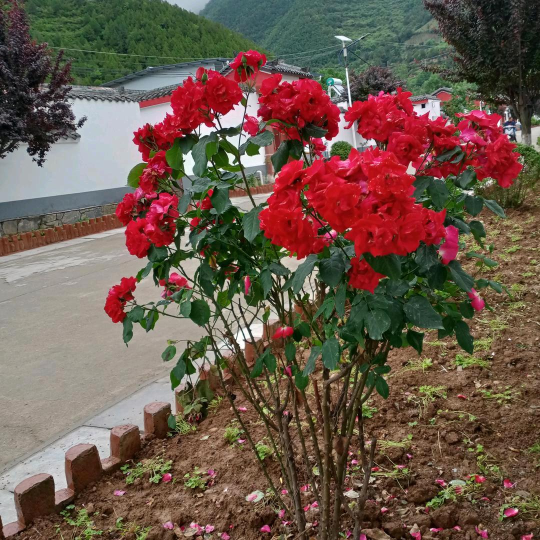 一路顺风。