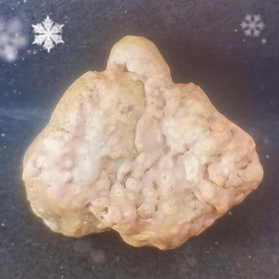饕餮