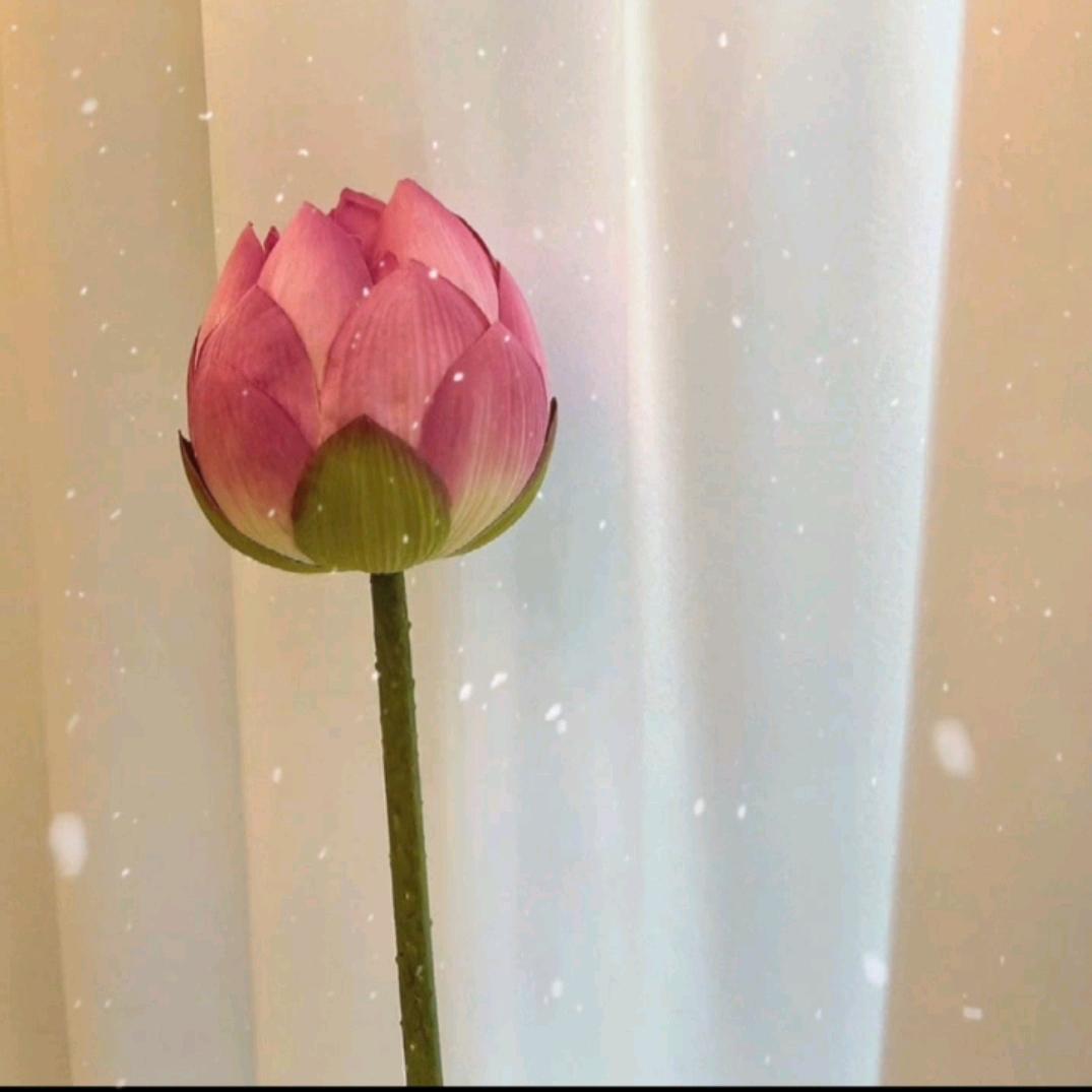 L໊ₒ悦:ᨶ႒ᩚ己ᵥ̶ₑ̶ᩚ: L໊ₒ