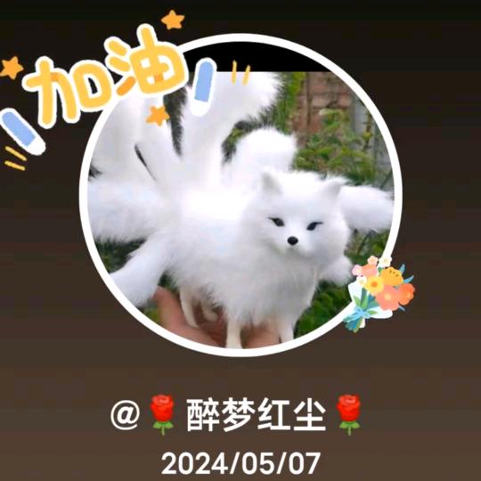 🌹醉梦红尘🌹