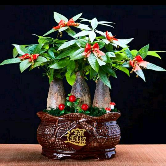 ღ᭄幸运星🦋꧔ꦿ᭄💞