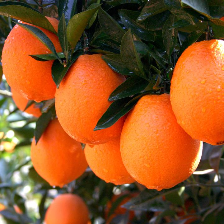 用户4138784402618美好未来