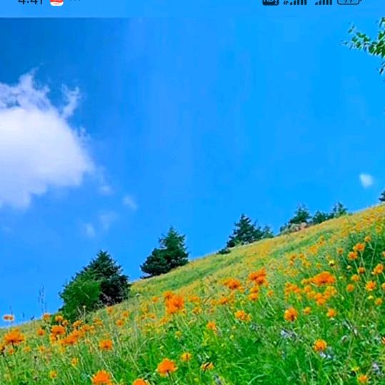 朝花夕拾